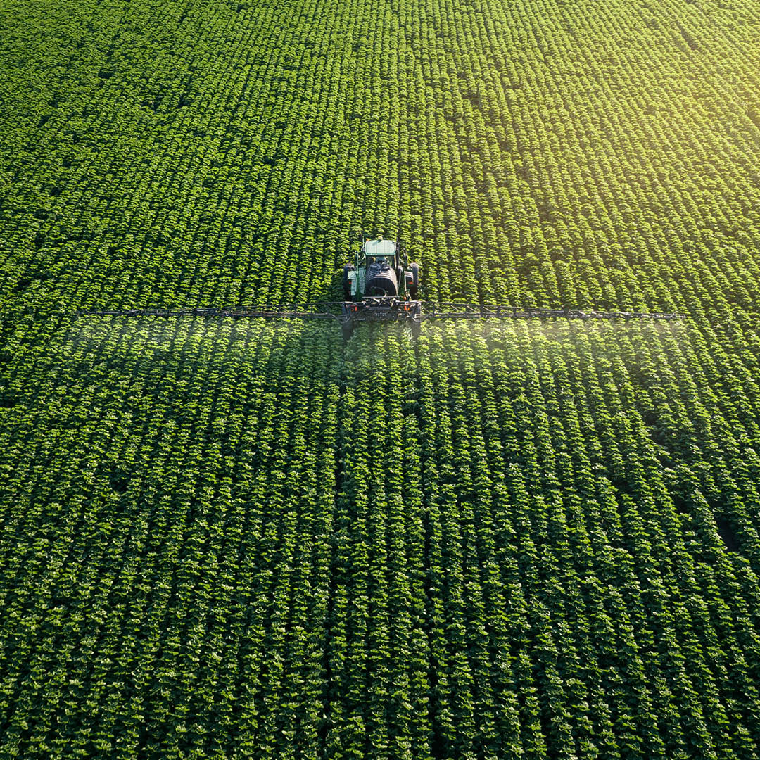 agricultura 2019