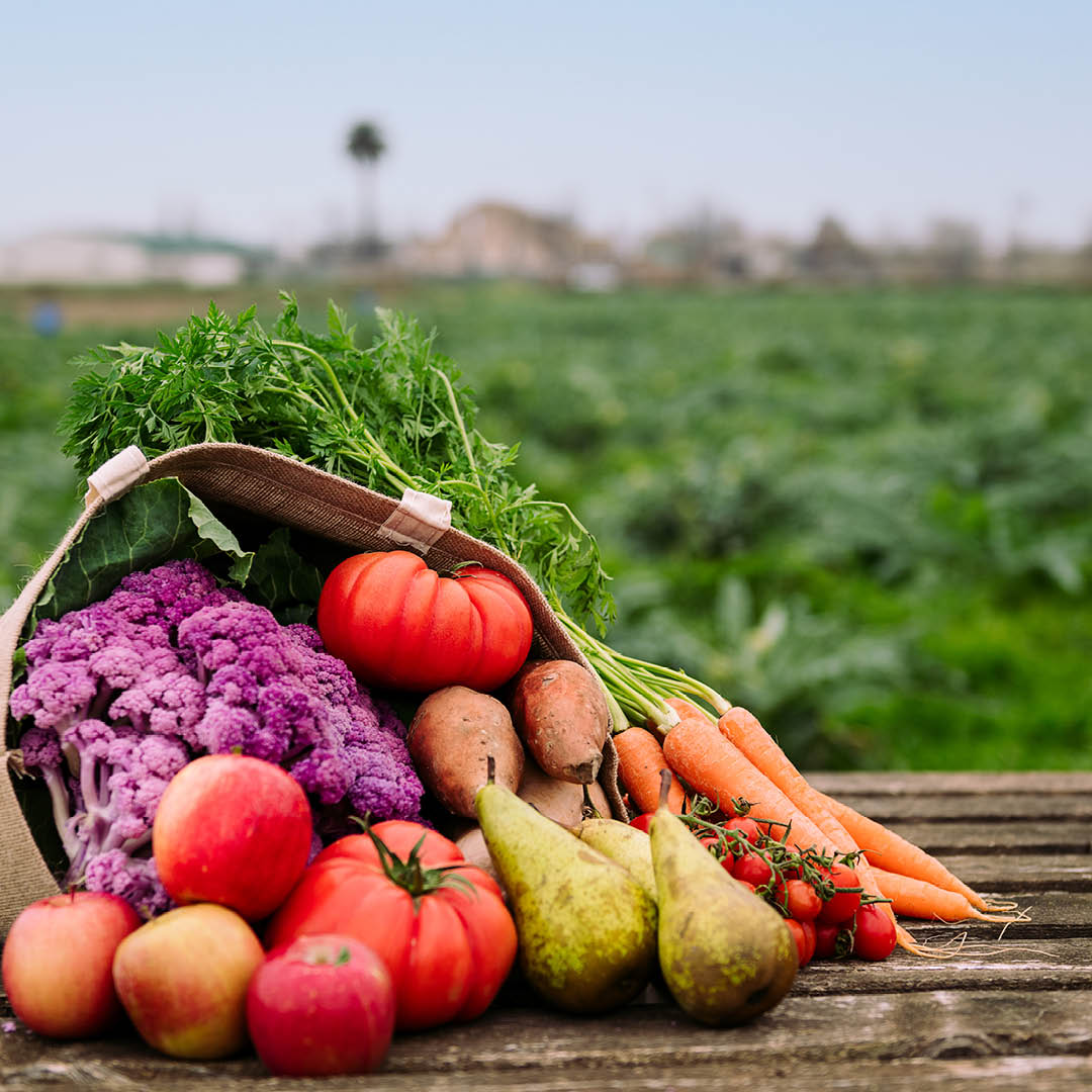 agricultura 2022